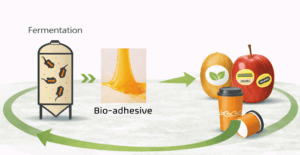 Cicloseal description