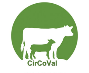 CirCoVal logo