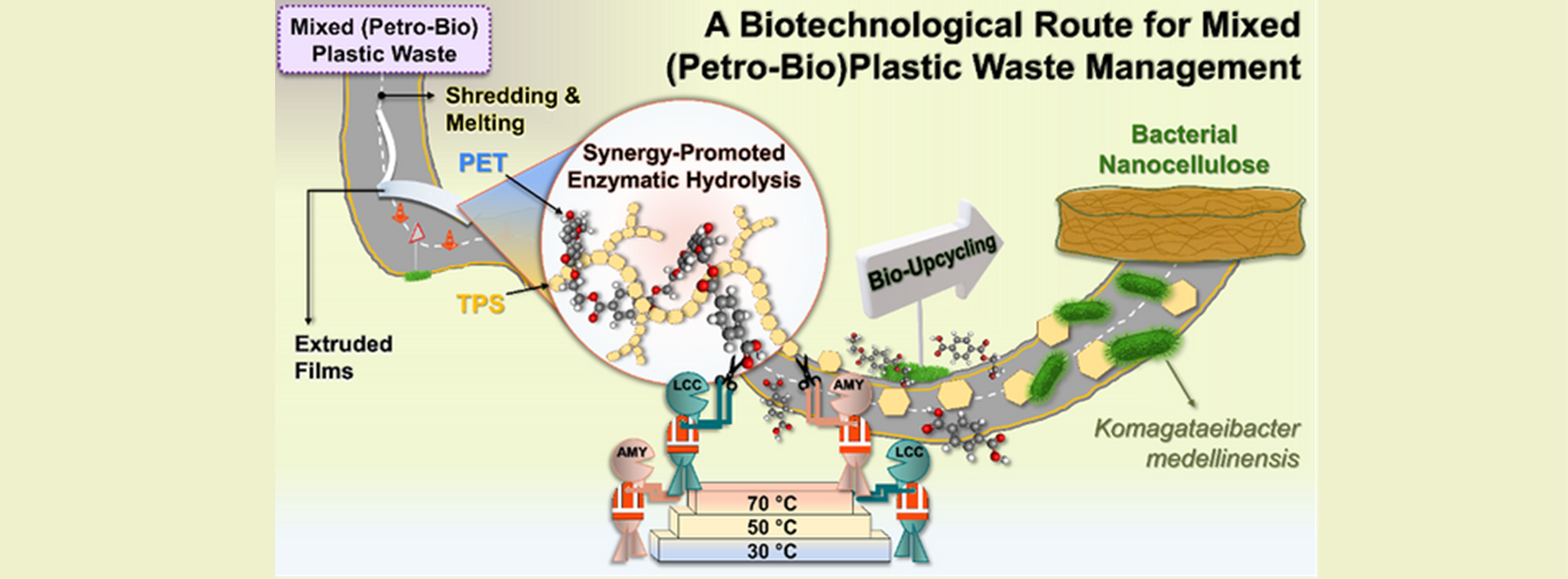 Circularity for petro bioplastic waste streams