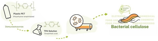 Henrique PhD project schematic diagram