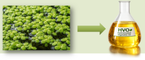 Peatland Biomass to HVO description