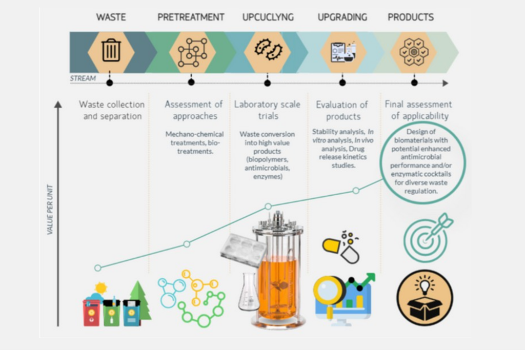 Waste Revalorisation cycles