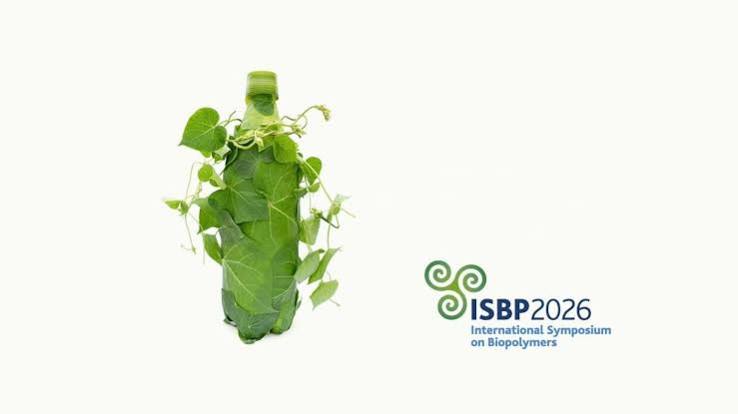 ISBP logo